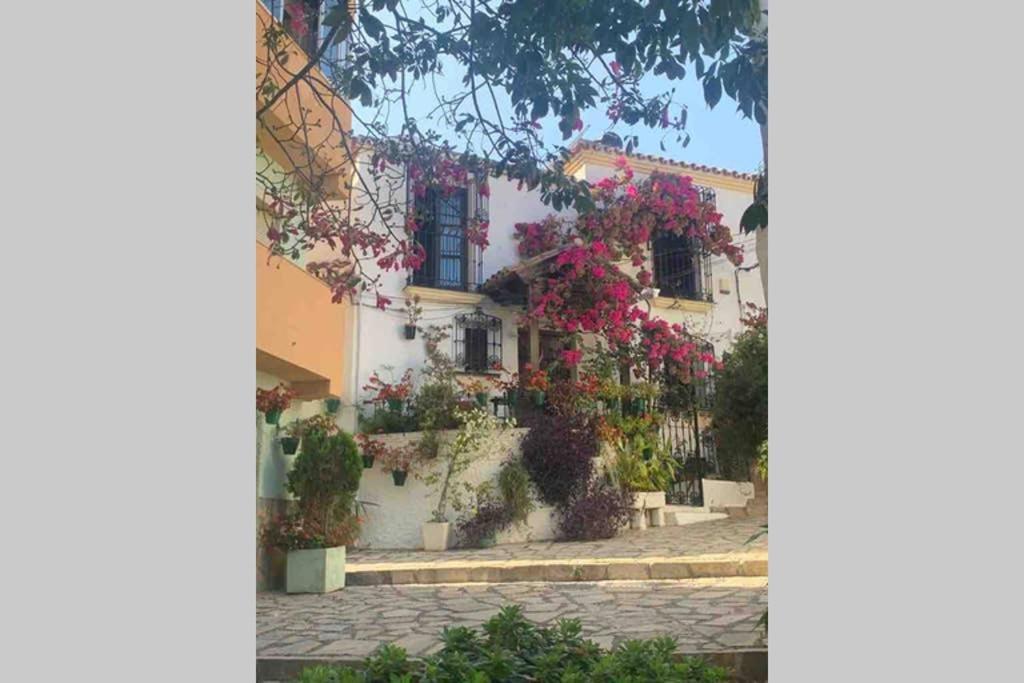 Appartement Palmeras Puerto Paraiso Estepona Exterior photo
